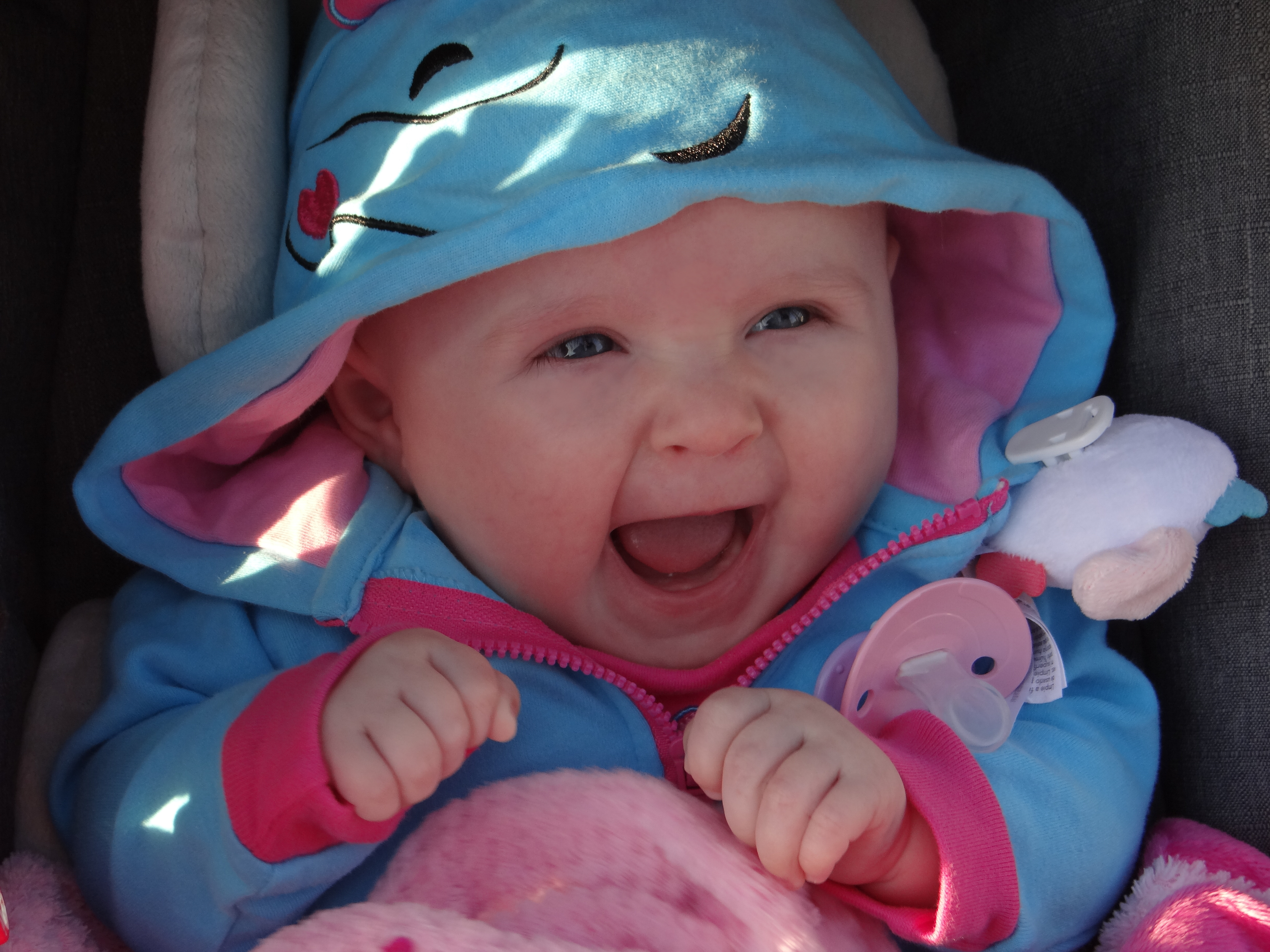 Happy baby in a stroller