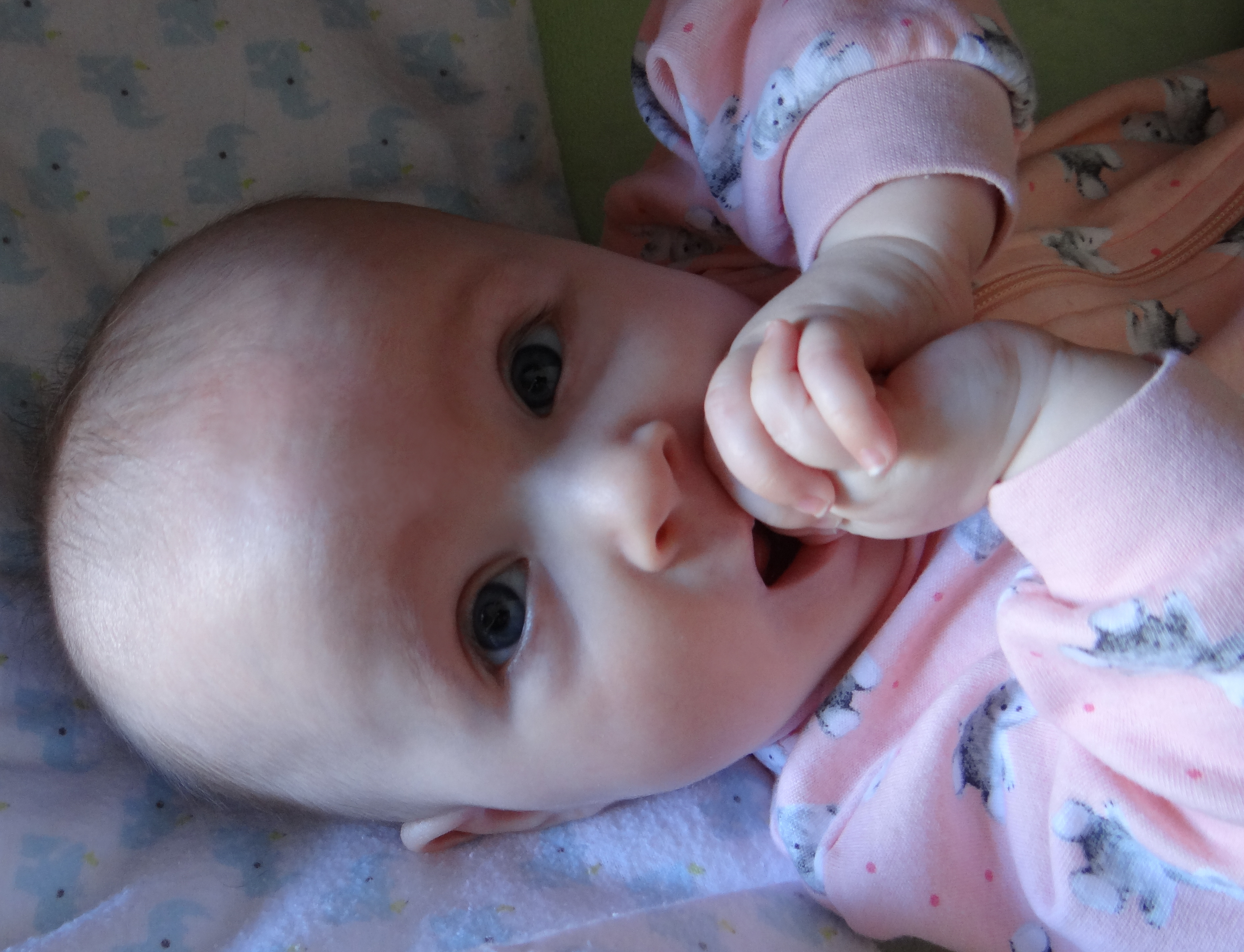 Infant with hands clasped together