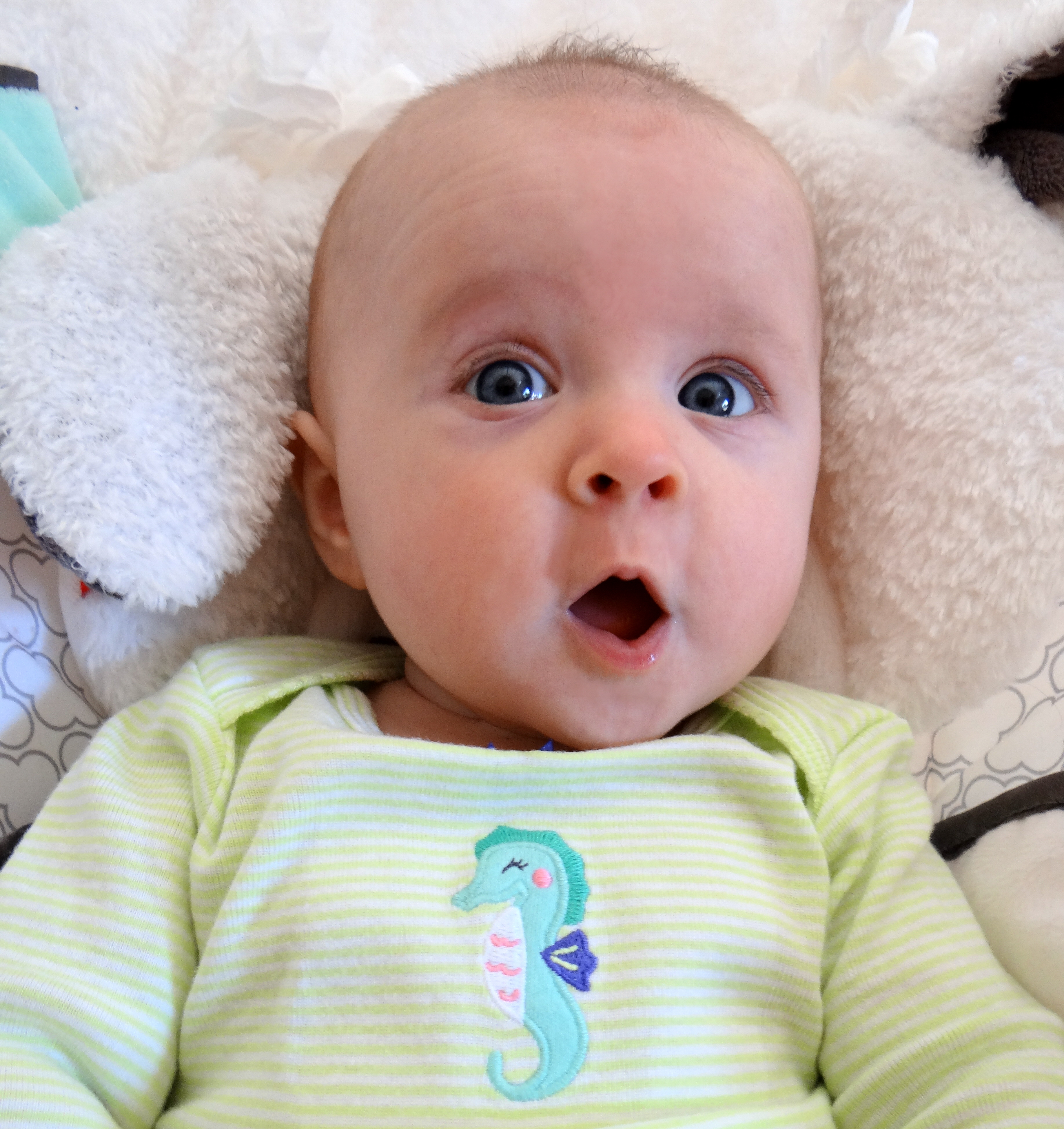 Shocked baby wearing seahorse shirt