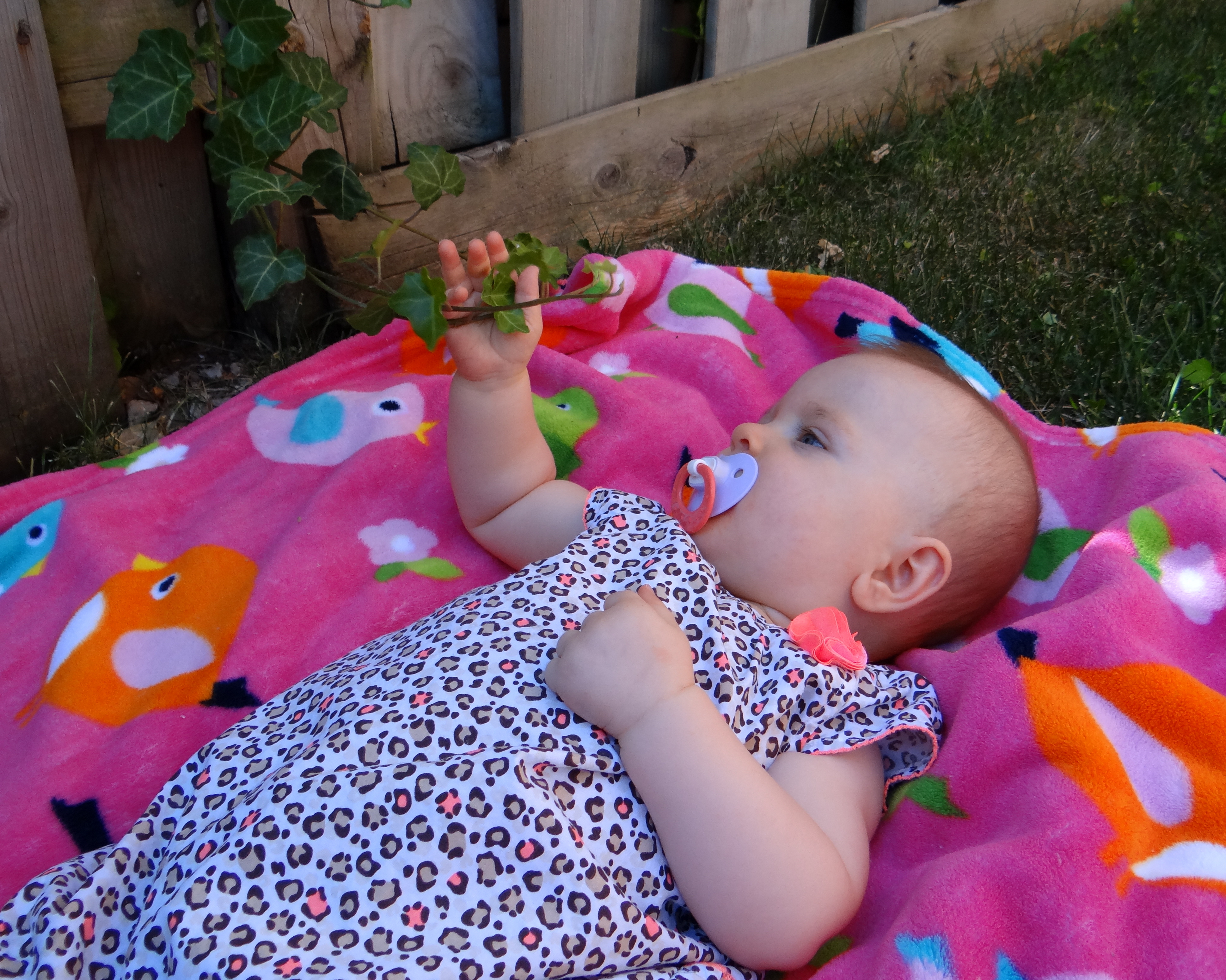 Baby outdoors holding ivy