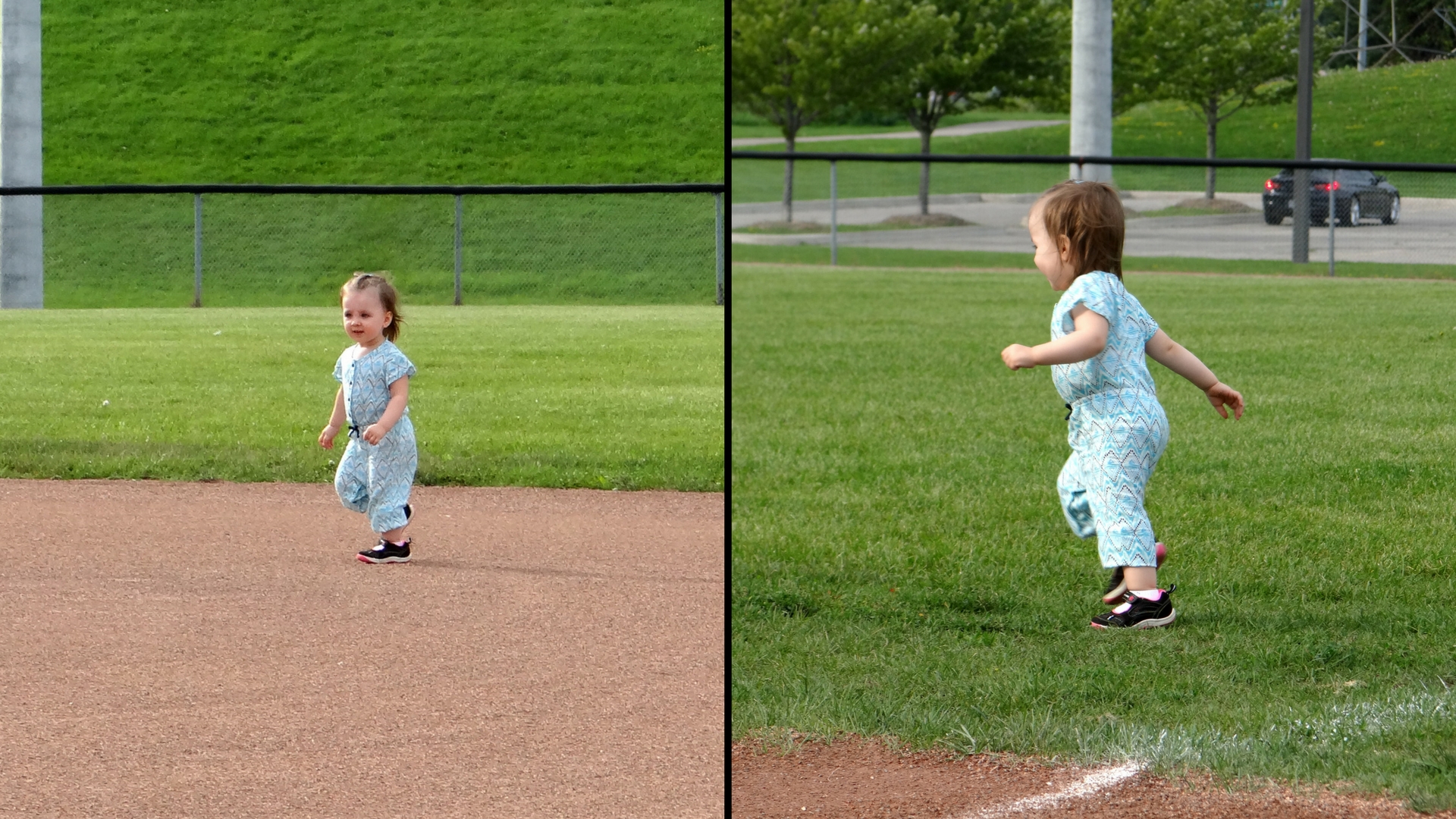 Peachy runs after birds on a baseball diamond