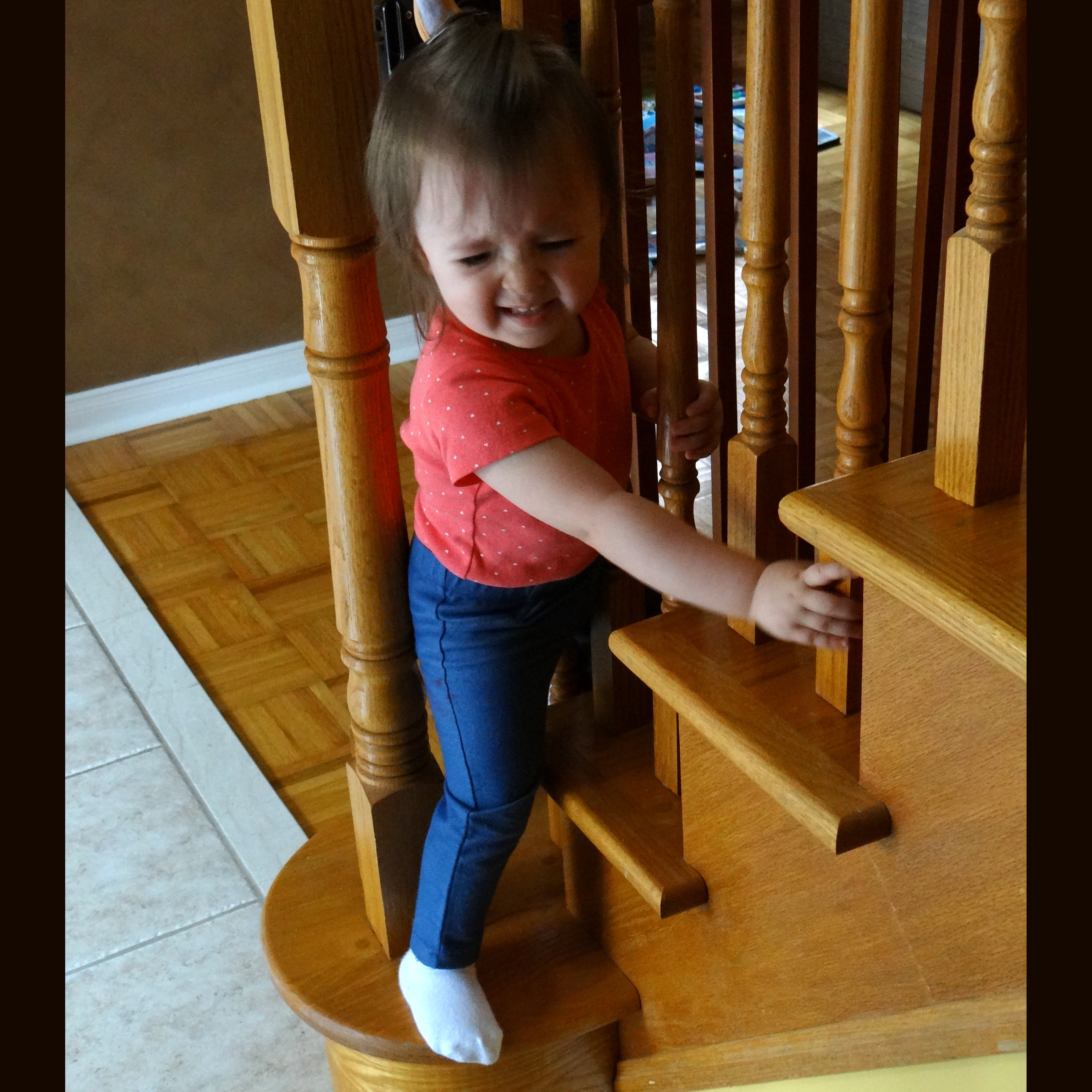 Peachy trying to outwit the toddler safety gate
